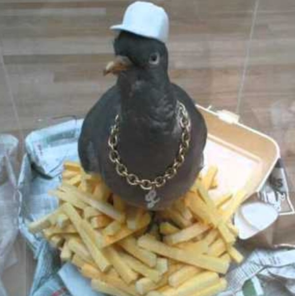 dirtypigeon